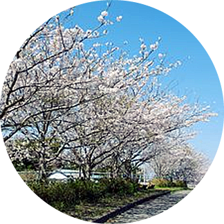 南白亀川遊歩道