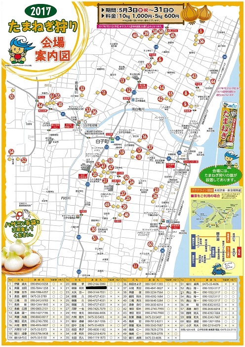 たまねぎ狩り★開催中！！