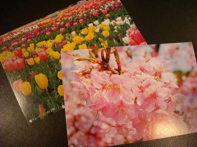 [オリジナル絵はがき]販売中☆