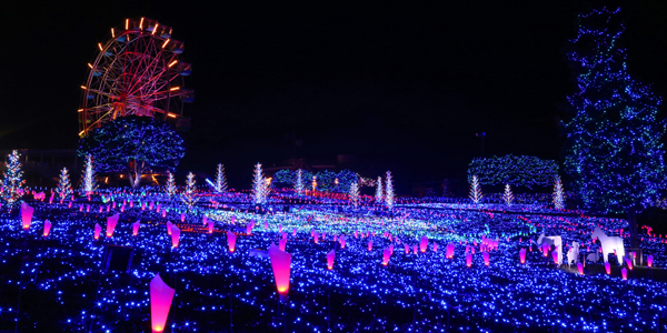 ★キラキラファーム開催決定★