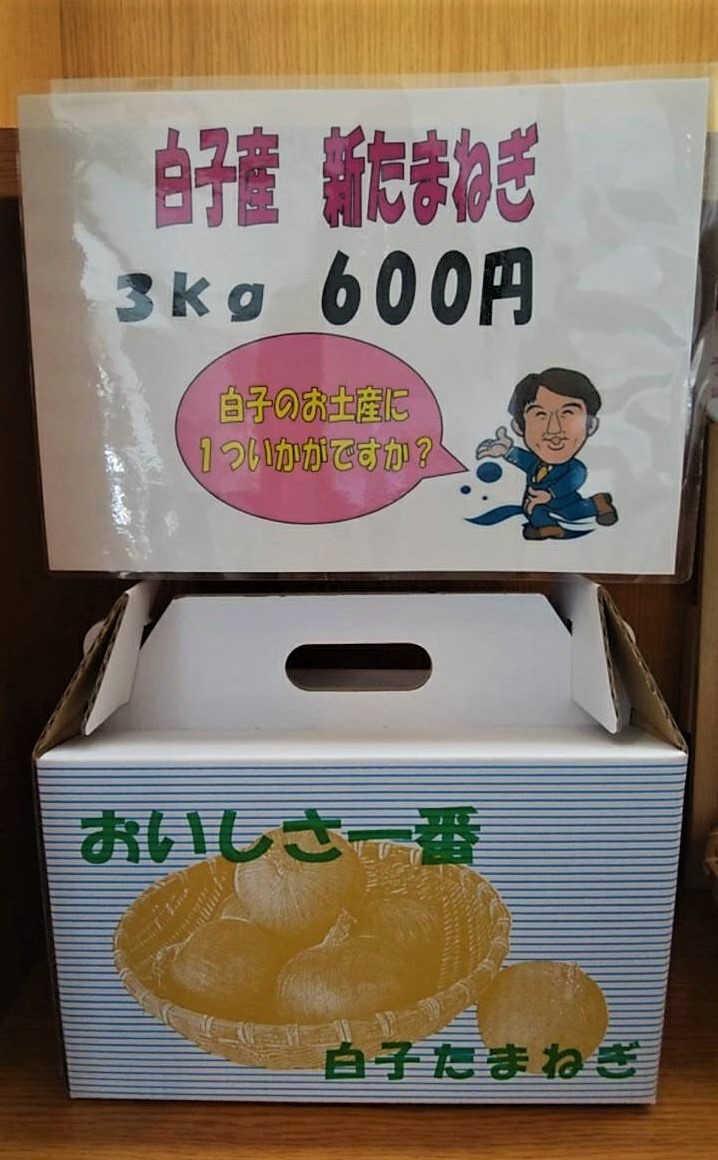 ★お土産に最適！化粧箱入り白子たまねぎ★