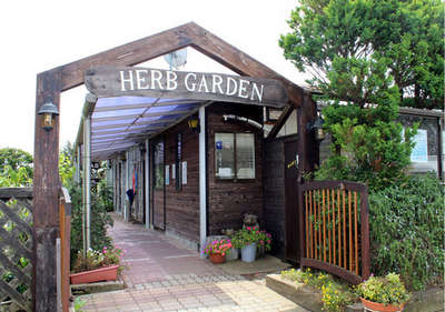 *.+ﾟ.【九十九里】ハーブガーデン.ﾟ+.*