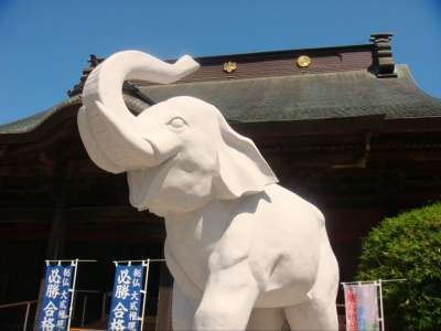長福寿寺☆吉ゾウくん
