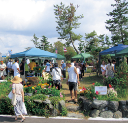 ★渚のファーマーズマーケット★