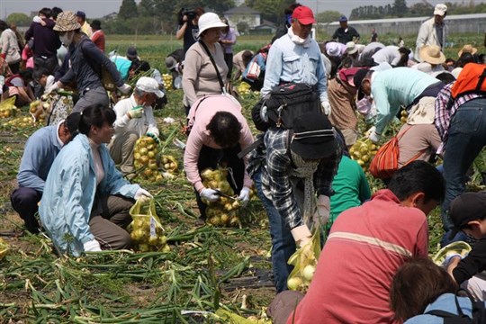 ◇白子たまねぎ祭り◇